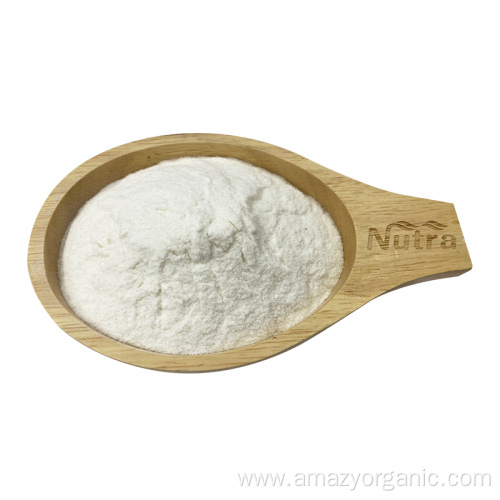 Hot-Selling Natural Pueraria Lobata Extract Powder